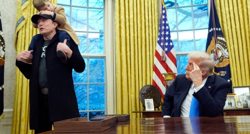 Bill O'Reilly: 35% of people will never support Trump, DOGE