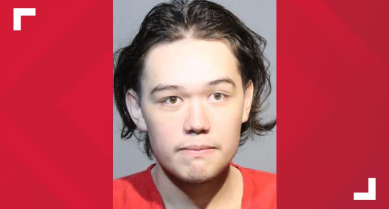 California teen Alan Filion sentenced to 4 years for making swatting calls