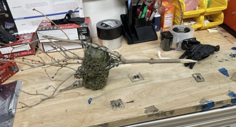 A hidden camera found pointed at a Lone Tree home possibly the target of burglars.