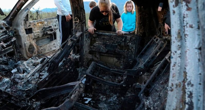 Cartel that killed family should be called terror group: Relative