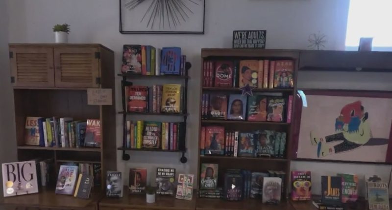 Chicago bookstore bridging literacy gap for minority students