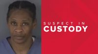 Clay County woman steals over $10,000 from shoppers' purses: Police