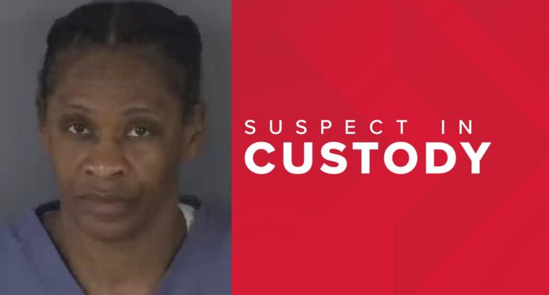 Clay County woman steals over $10,000 from shoppers' purses: Police