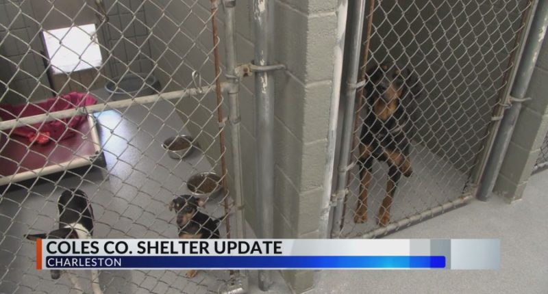 Coles Co. Shelter finds space for animals ahead of renovations