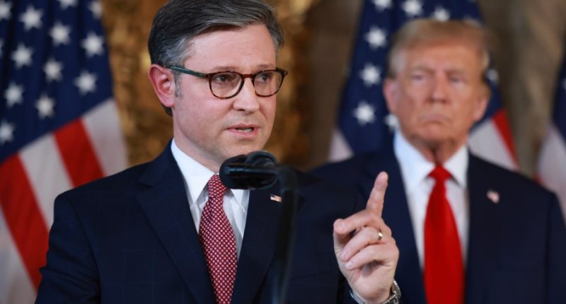 DOGE actions 'long overdue, much welcomed': House speaker