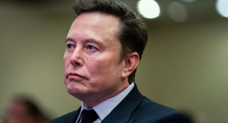 DOGE commission accesses sensitive US Treasury payment systems: AP sources