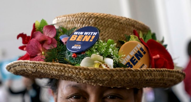 Democrats electing new leader as party struggles to repair brand