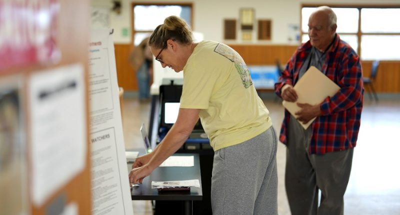 Democrats see small wins in low-key races, fueling hopes for November