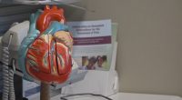 Doctor warns of hidden signs of heart disease for American Heart Month