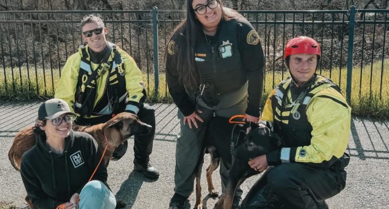 Four people pose with the two rescued dogs.