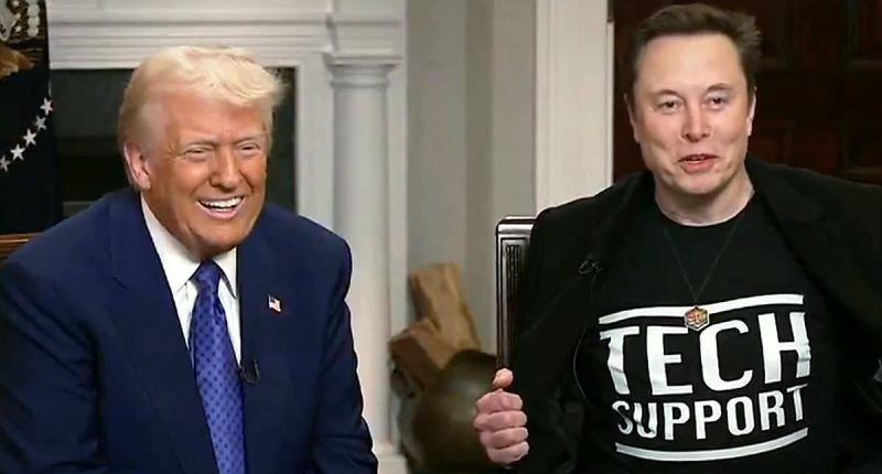 Donald Trump finally reveals Elon Musk's real job in federal government