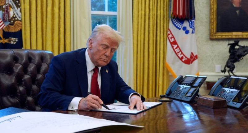 Dozens of Education Department staffers on leave amid Trump's DEI purge