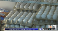 Egg prices starting to impact Central Illinois businesses
