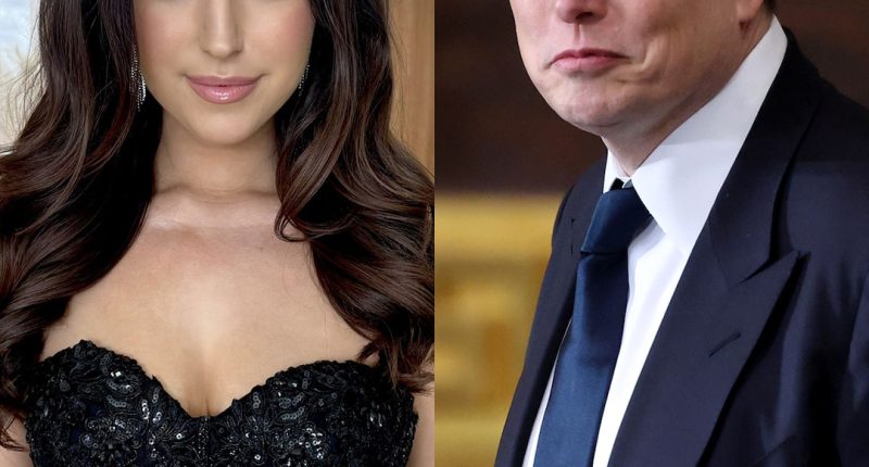 Elon Musk Sued by Ashley St. Clair for Sole Custody of Baby