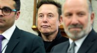 Elon Musk responds to DOGE check suggestion: What do we know?
