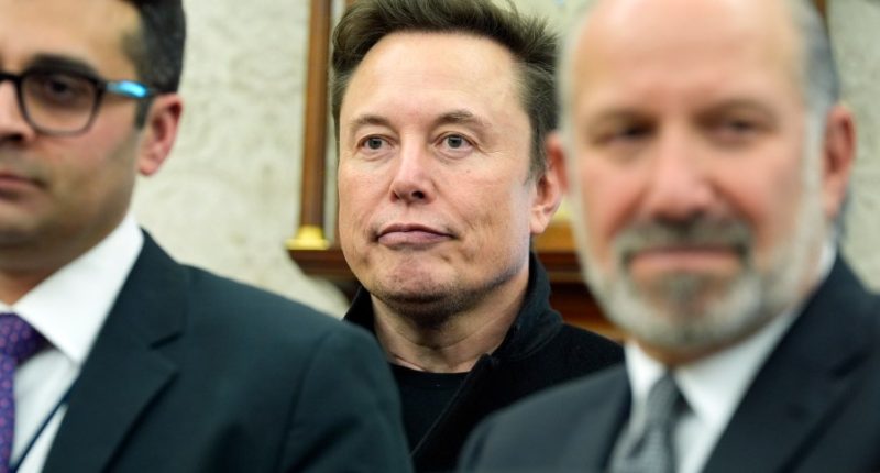 Elon Musk responds to DOGE check suggestion: What do we know?