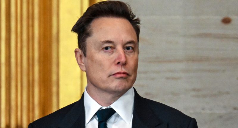 Elon Musk's Time Magazine Cover Might Be Final Straw For Trump's Fragile Ego