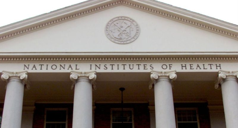 Federal judge pauses NIH research cuts nationwide