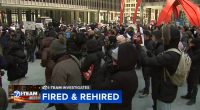 Federal workers in Chicago left confused by a sudden rehiring following mass firings from Trump administration's 'DOGE'