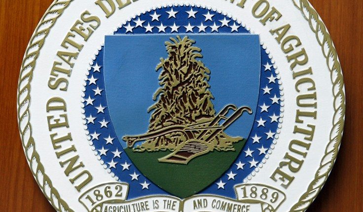 Fired USDA worker: We want our country to love us back