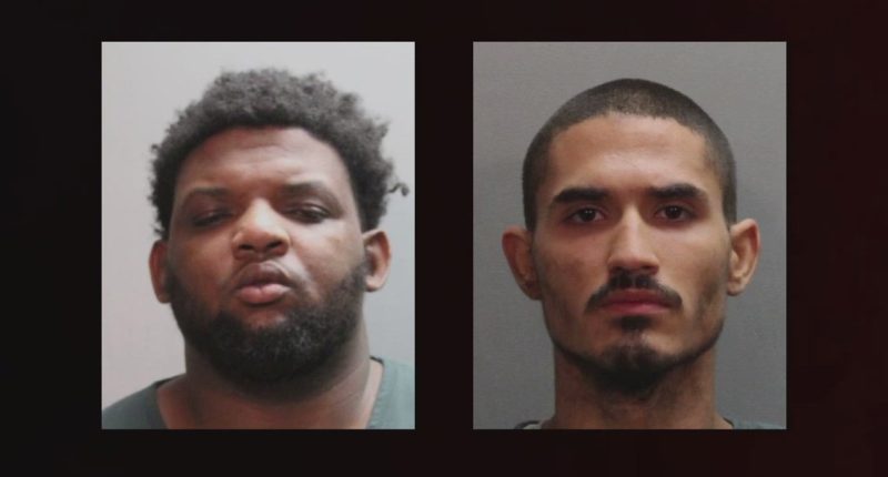 Fla. mental health expert talks resources after 2 sons accused of killing moms