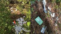 Florida mailman accused of dumping over 1,000 pieces of mail in the woods