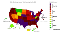 Flu activity now highest in 15 years: See which states have it worst