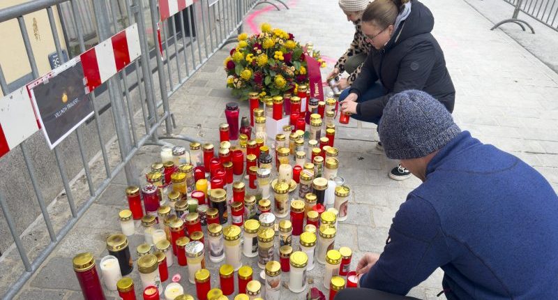 Food delivery driver helped stop suspect following deadly Austria stabbing: officials