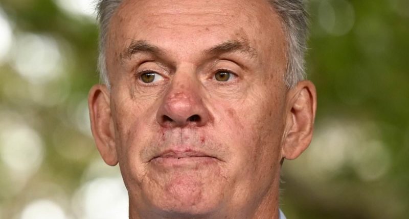 Former ALP boss Mark Latham launches SHOCKING attack on 'woke' Australian cricket player on the day of her greatest honour