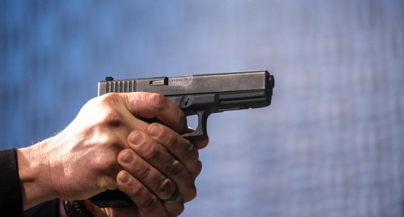 Future of ATF uncertain as Kash Patel tapped to take over