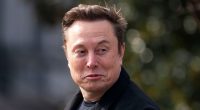 GOP lawmakers divided on Musk, seen by some as a liability