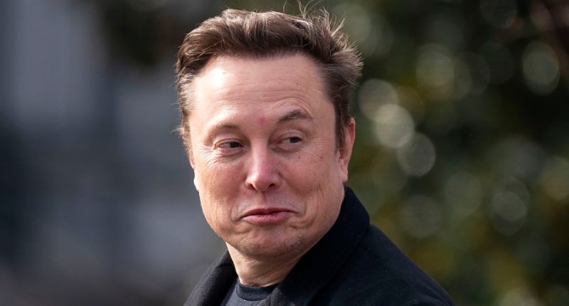 GOP lawmakers divided on Musk, seen by some as a liability