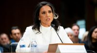 GOP's Susan Collins to back Tulsi Gabbard confirmation