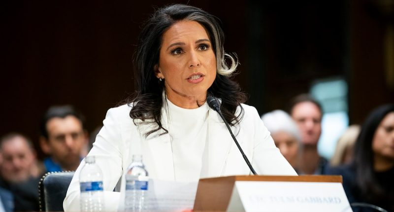 GOP's Susan Collins to back Tulsi Gabbard confirmation