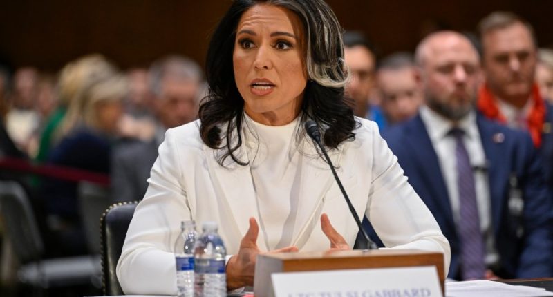 Gabbard awaits Senate vote on director of national intelligence nomination