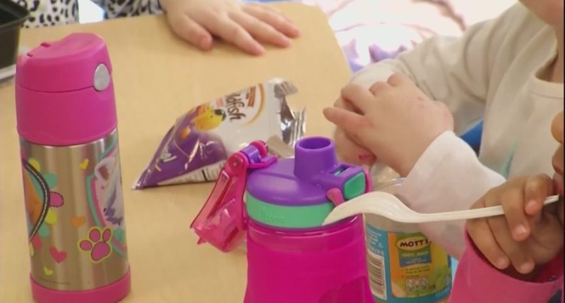 Georgia representative proposes house bill after child dies in daycare