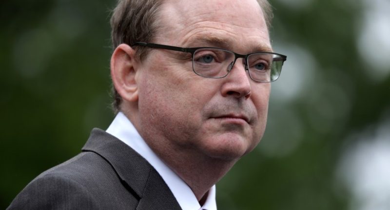 Giving US ownership of Ukraine's minerals would help keep peace: Hassett