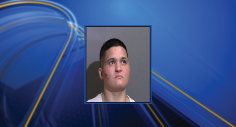 Glynn County police make arrest in car theft