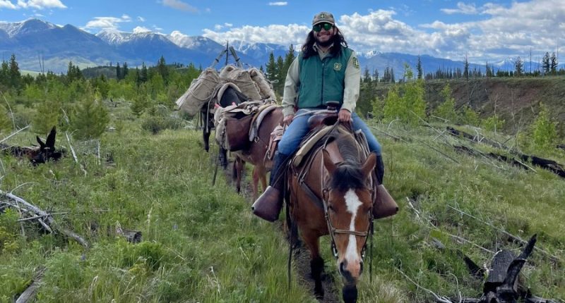 How Trump's mass layoffs raise the risk of wildfires in the US West, according to fired workers