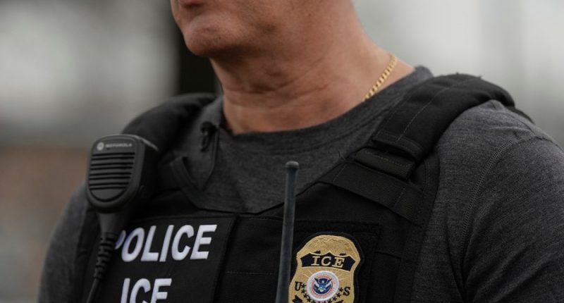 ICE acting director Caleb Vitello removed from role