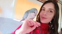 Bea with her parrot Rio, who is banned from returning to Australia.