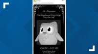 Internet reacts to Duolingo's announcement of mascot Duo's death