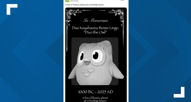 Internet reacts to Duolingo's announcement of mascot Duo's death