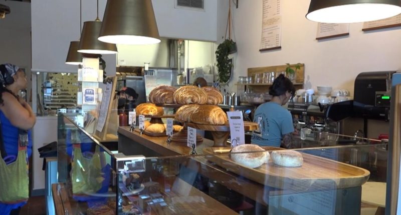 JEA's proposed rate increase: what it means for Jacksonville's business owners