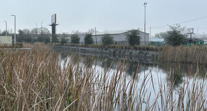 JSO: Man drowns in retention pond after foot chase, car break-in at dealership