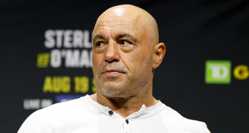 Joe Rogan cheers Musk’s ‘business approach’ to government cuts 