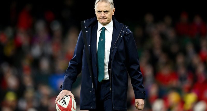 Joe Schmidt opens up on the real reason he had to quit the Wallabies before the next Rugby World Cup