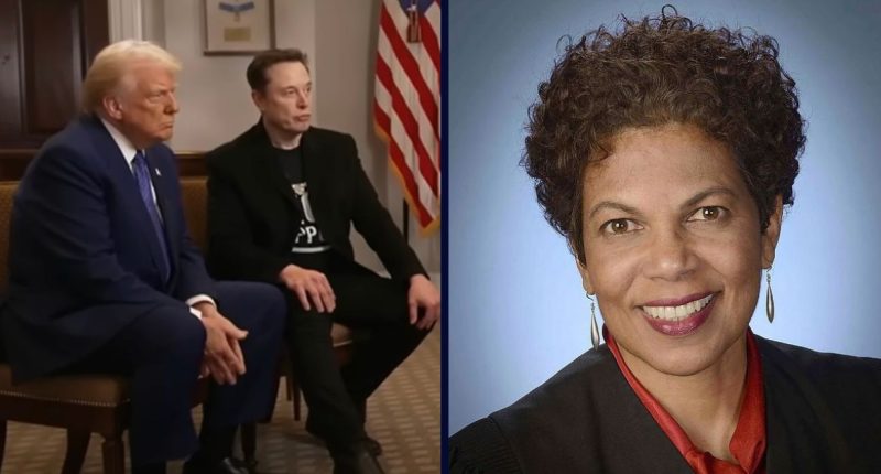 Judge concerned with Musk's 'unchecked' power,' declines TRO