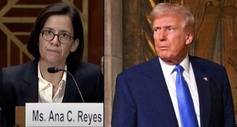 Judge ridicules DOJ lawyer during transgender ban hearing