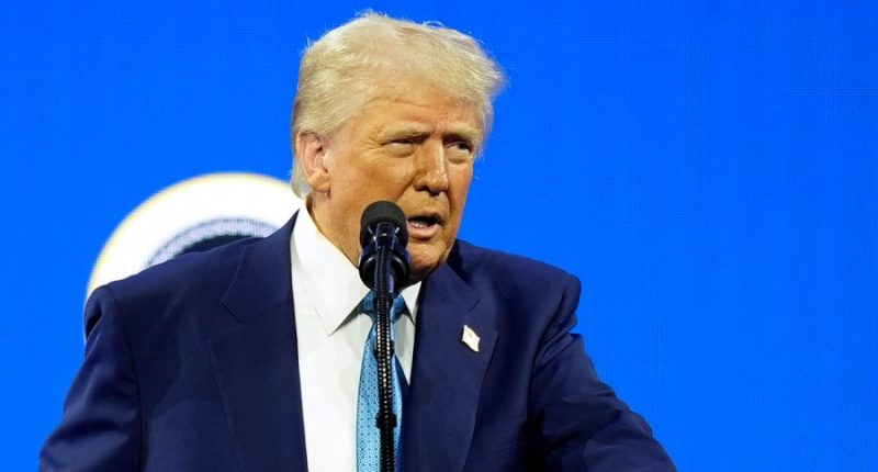 Judge rules Trump administration can move ahead on mass government layoffs